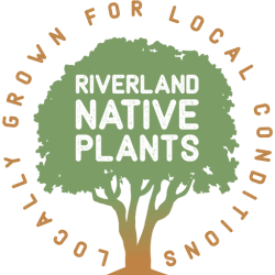 Riverland Native Plants